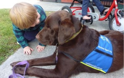 Floyd and Burleigh Heads State School