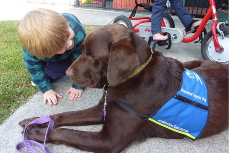 Floyd and Burleigh Heads State School