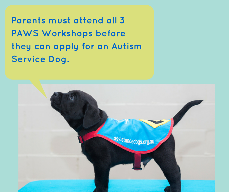 how do service dogs help with autism