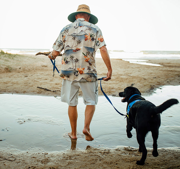 PTSD Service Dogs