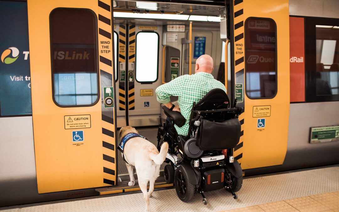What is the difference between an Assistance Dog and an Emotional Support Dog?