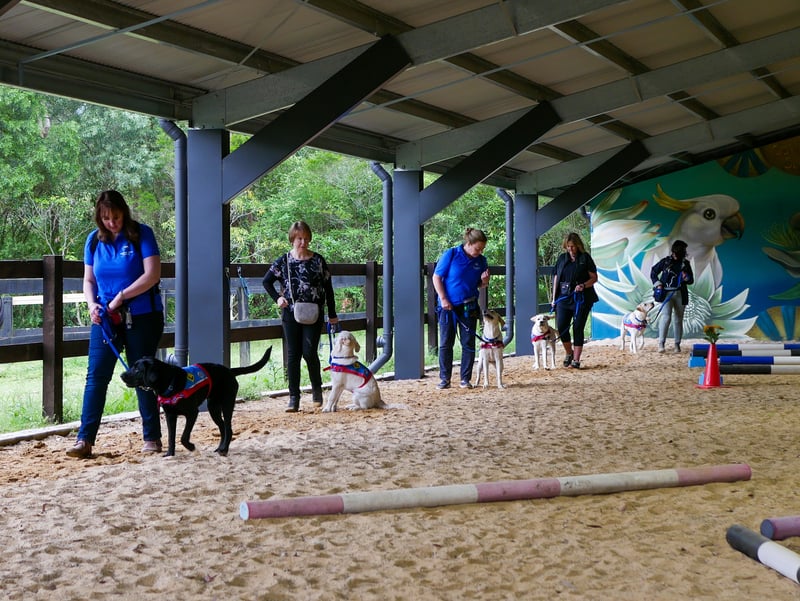 group equine exposure class