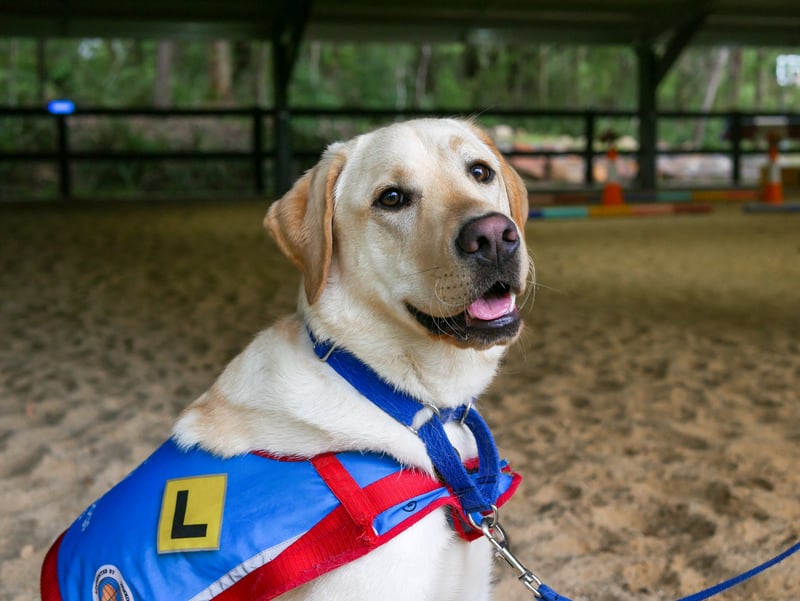 norman equine exposure class