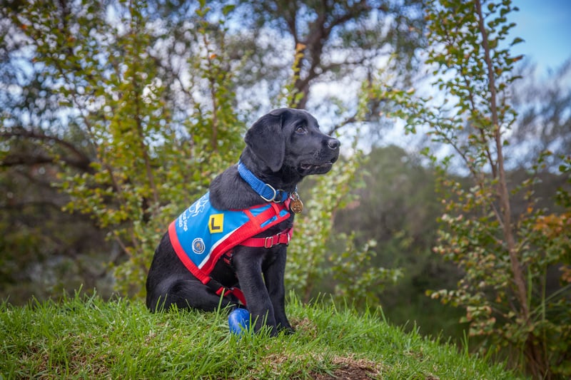 Asta in learner jacket