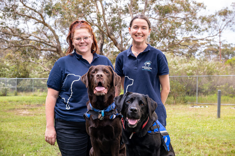 paediatric occupational therapists and assistance dogs