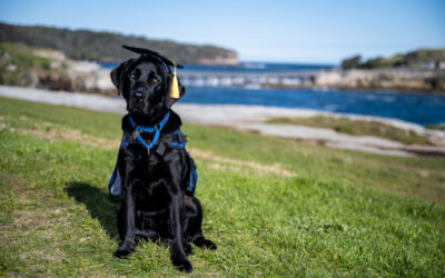 Training an Assistance Dog