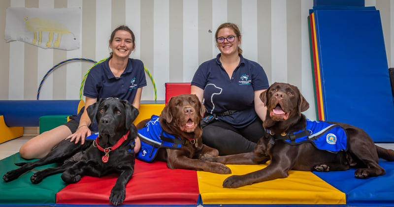 paediatric occupational therapists and assistance dogs