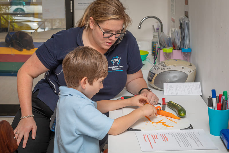 paediatric occupational therapists and assistance dogs