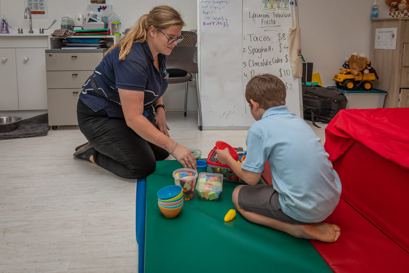 paediatric occupational therapists and assistance dogs