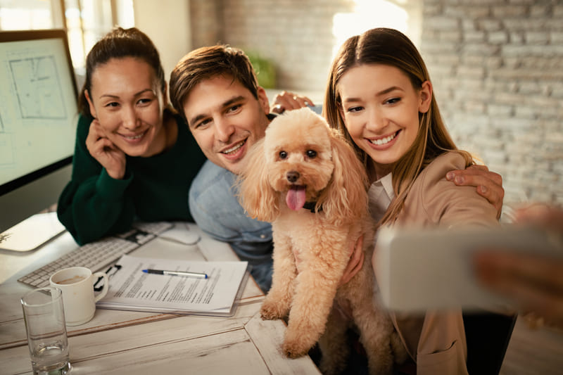 colleagues-and-their-dog-taking-selfie-in-workplace