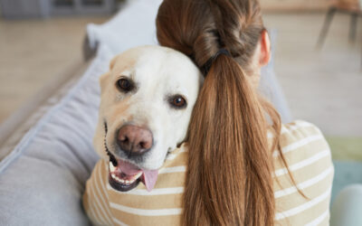 Top 6 Reasons to Get a Pet Dog