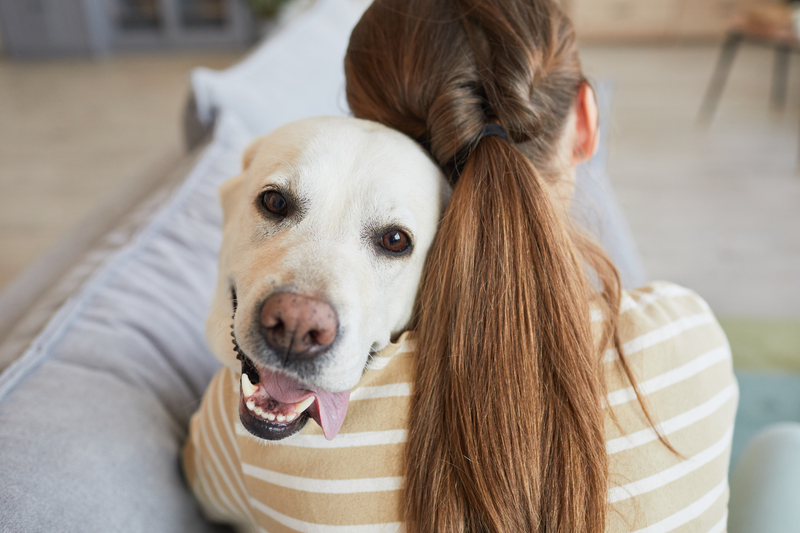 Top 6 Reasons to Get a Pet Dog