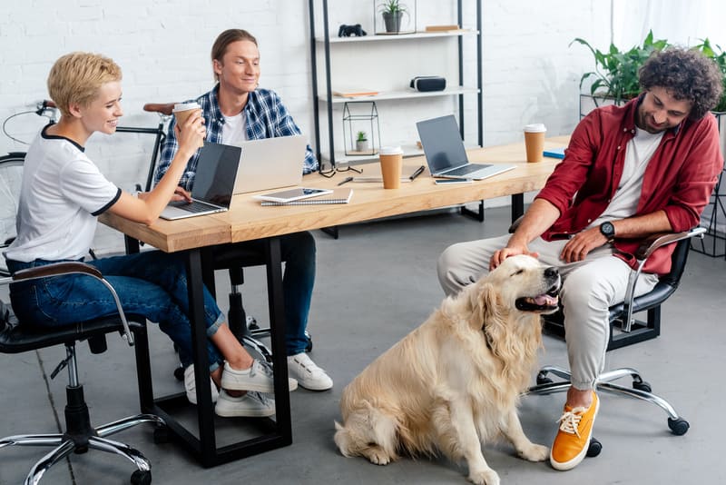 young-people-and-dog-in-workplace