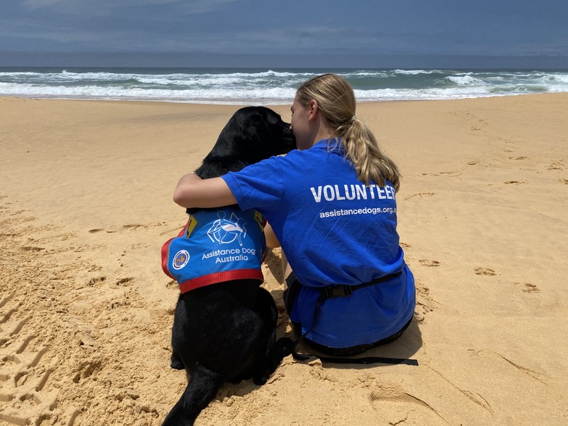 Beach_volunteers