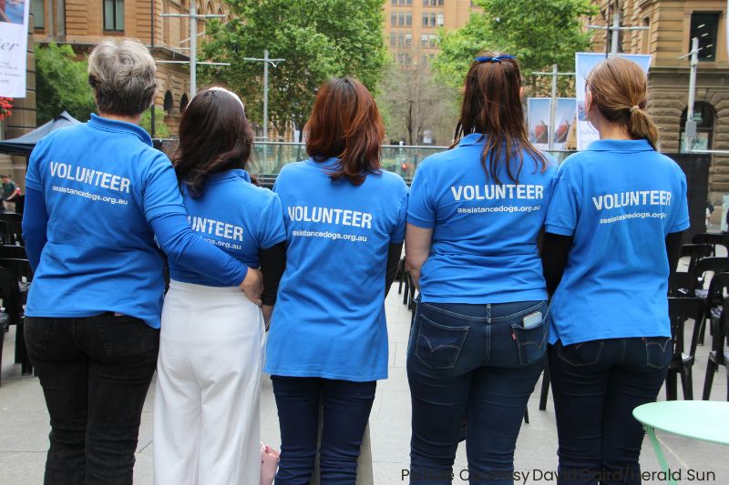 10 Benefits of Volunteering with Animals