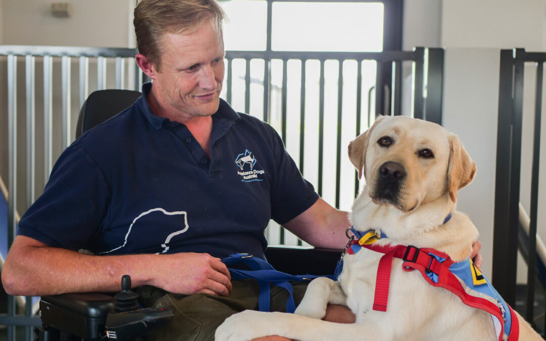 Man sitting and looking down at white labrador that has front paws in his lap.