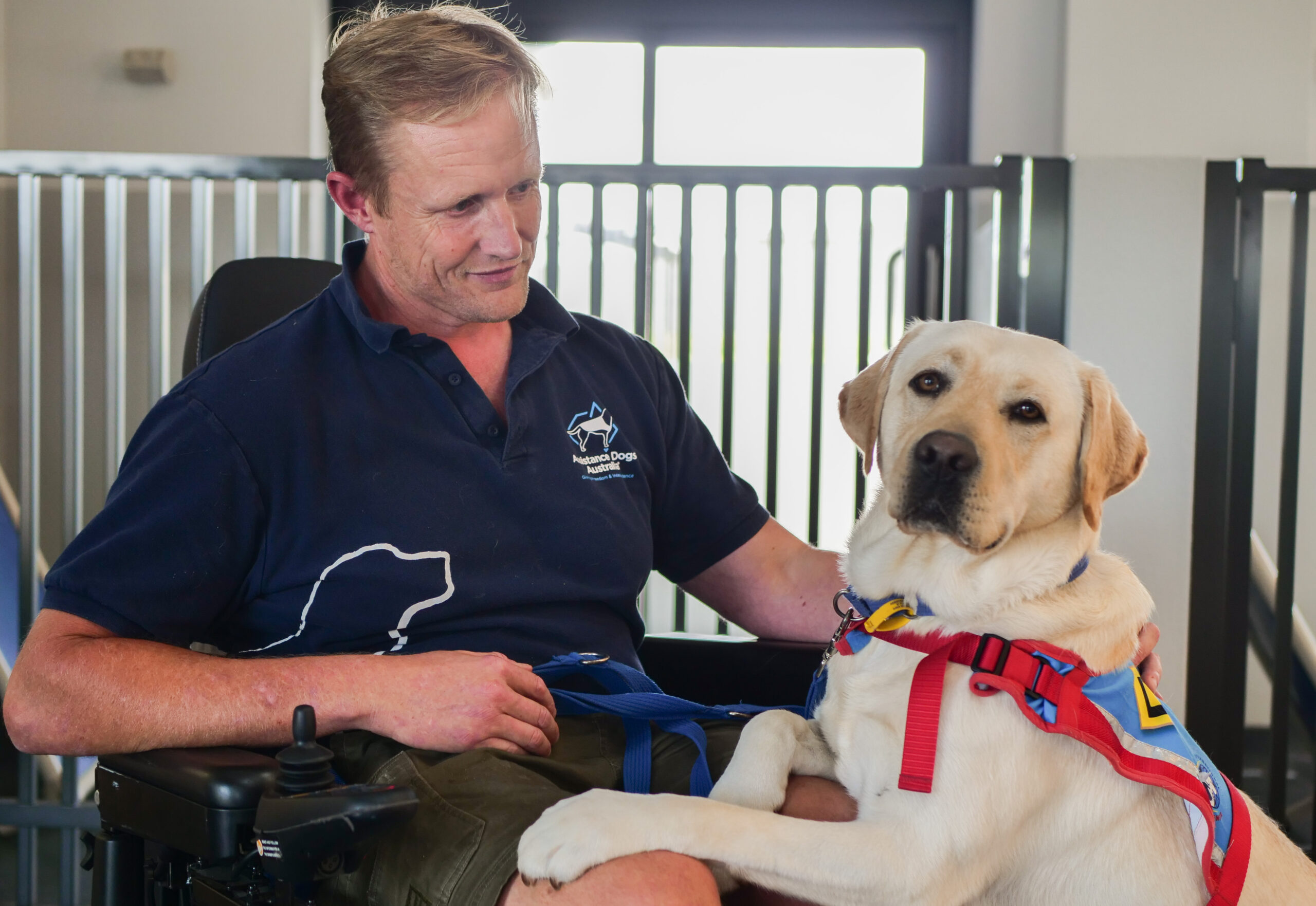 Man sitting and looking down at white labrador that has front paws in his lap.