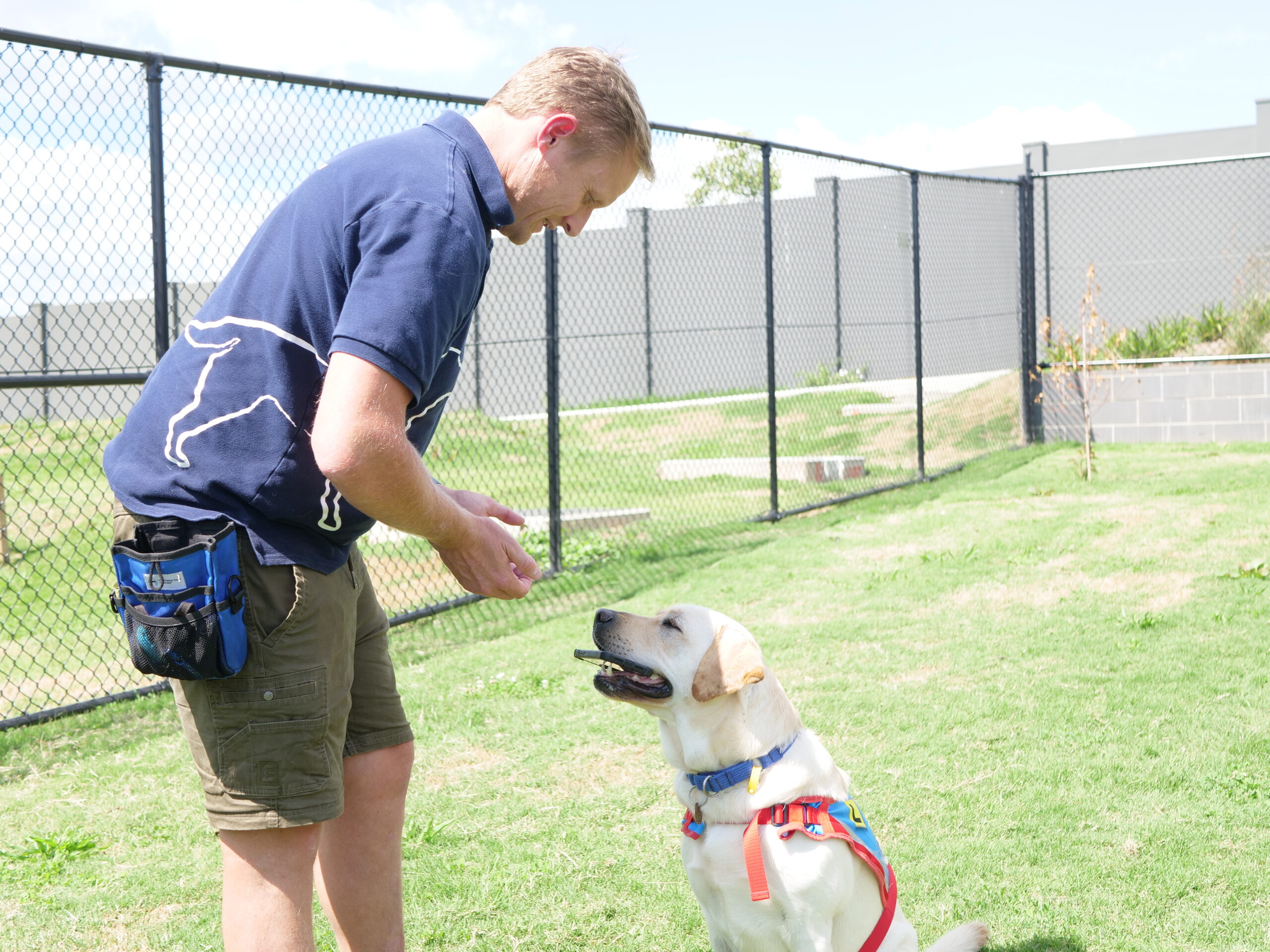 Man reaching down to dog holding mobile phone in its mouth