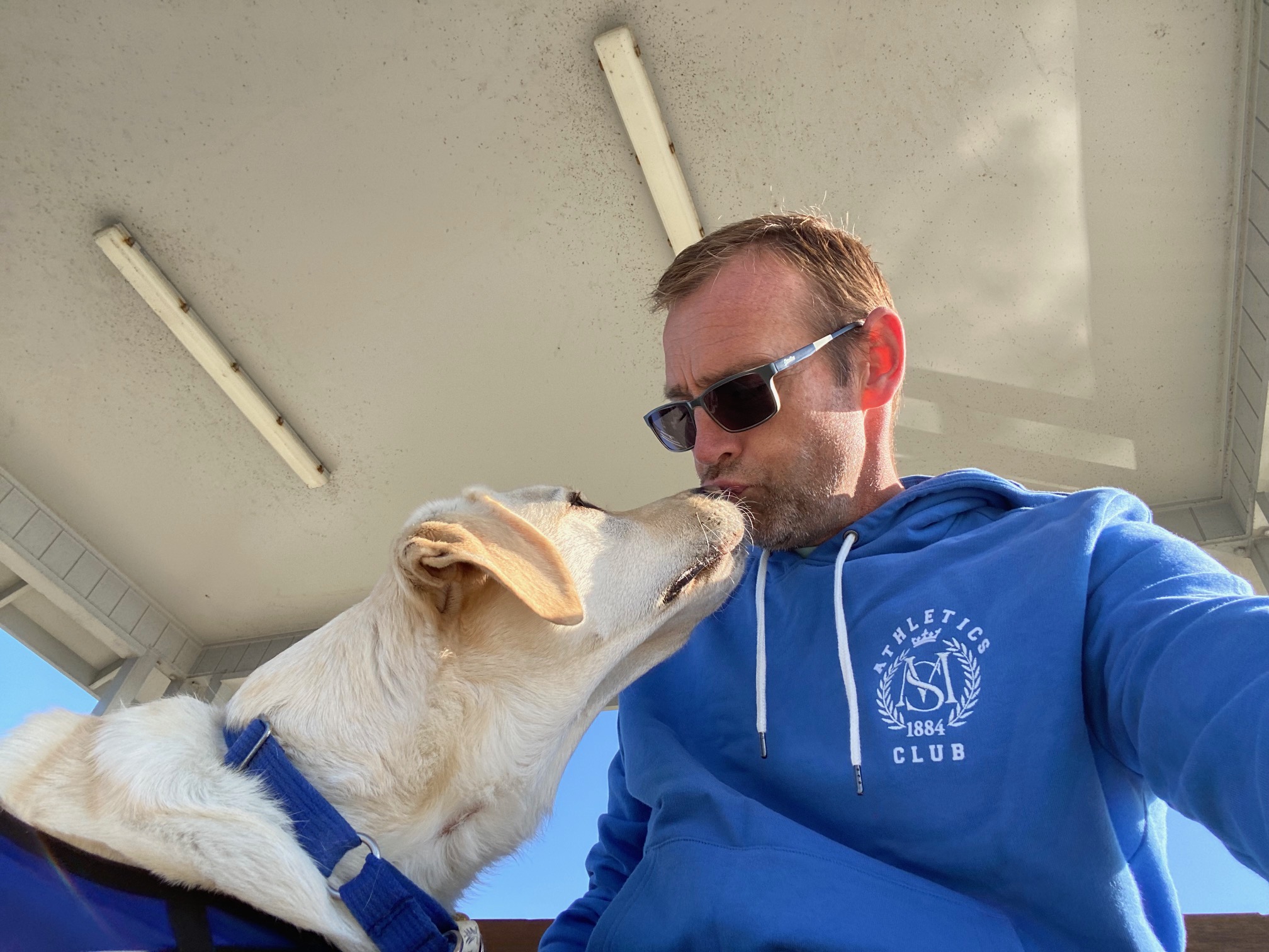Man wearing sunglasses looks down at labrador who is reaching upward to touch faces