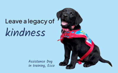Leave a Legacy of Kindness this Include A Charity Week