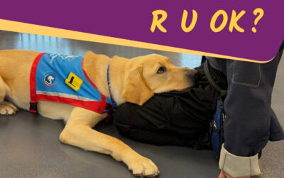 ADA asks: R U OK?