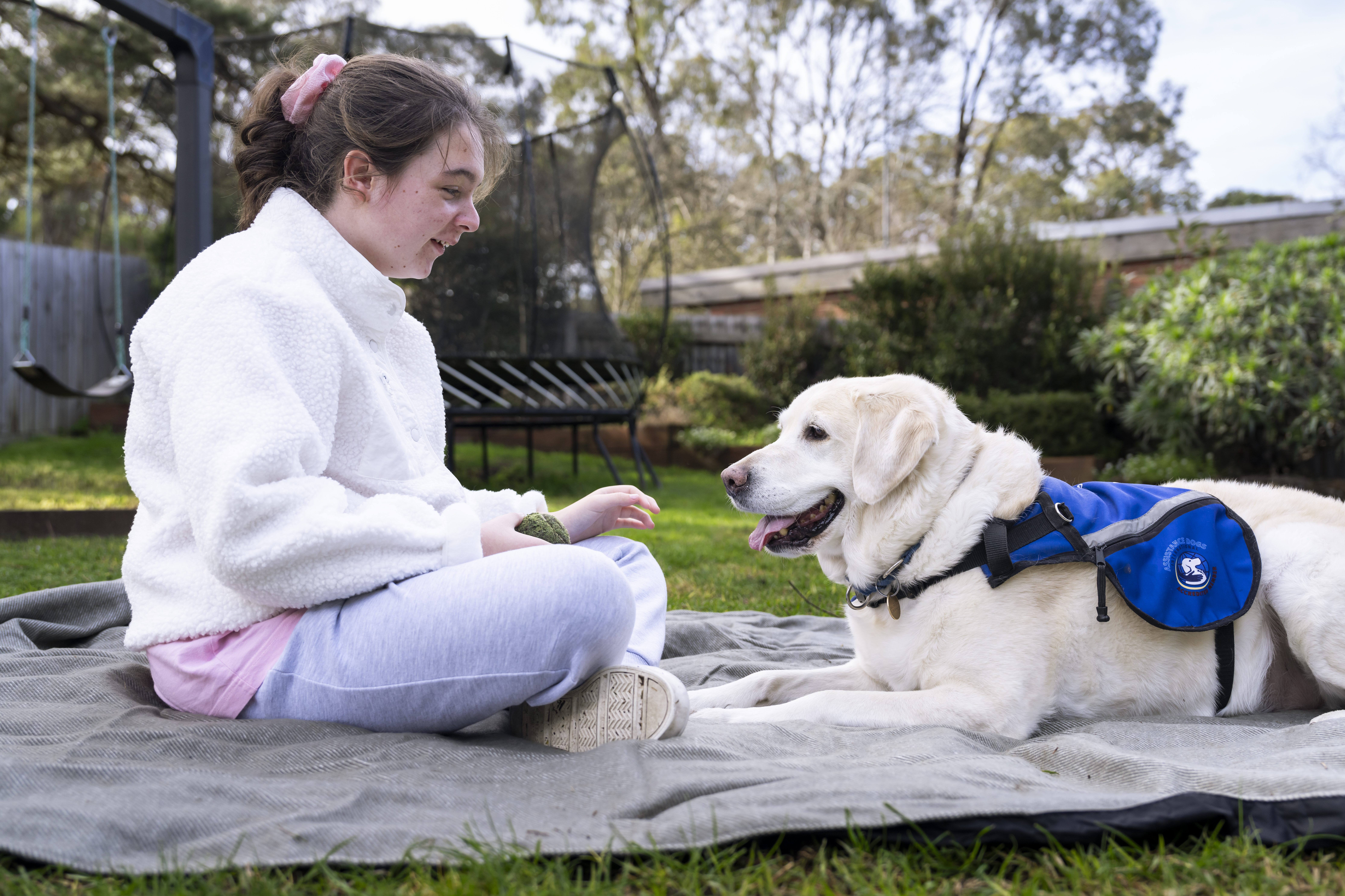 Young girl sits smiling opposite white labrador in assistance dog jacket
